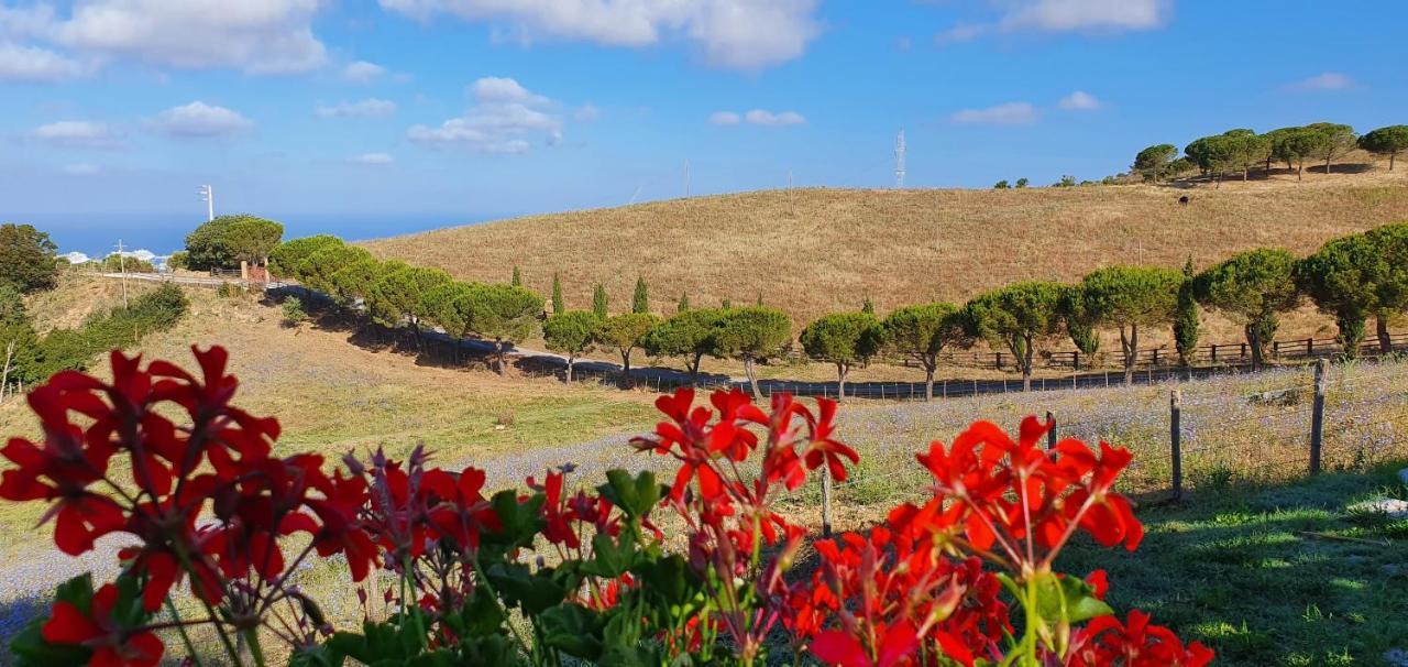 Hotel Tenuta Dell'Argento Resort Чивитавеккья Экстерьер фото
